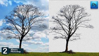 Remove background in 2 minutes in Photoshop I #photoshoptutorial I @satishkgraphics