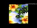 amir.pr0d + $amaad + new jazz type beat @lyfe0fm3