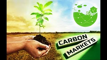 Nguồn lực tài chính cho mục tiêu Net Zero