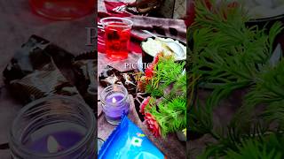 A slow picnic by the lake, good company, soft laughter, and moments#shorts#viral#trending#picnic#yt screenshot 4