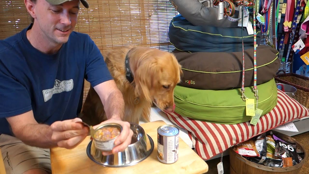 Dog Food Tasting of Weruva & Tiki Dog YouTube