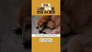 안녕, 나와 함께할 반려 AI 로봇