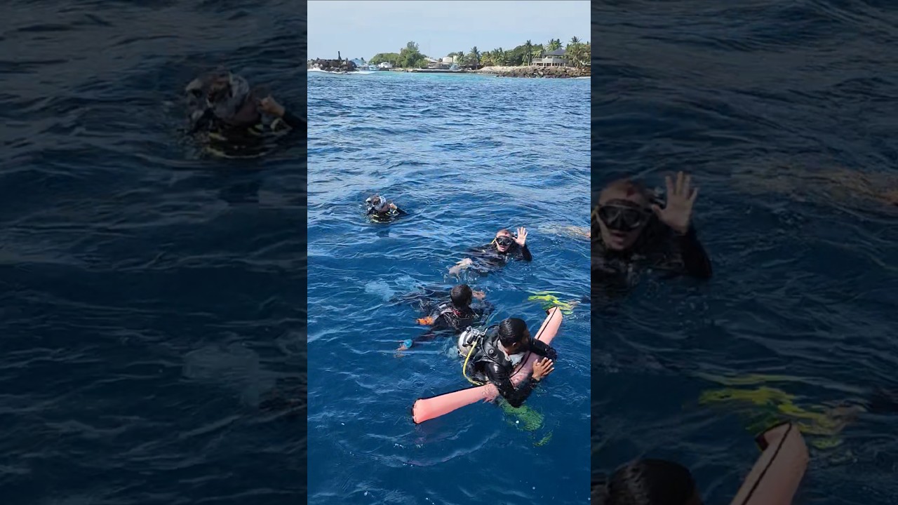 Не надо бояться. 