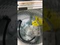 Ocean water in a Whirlpool top load washer!