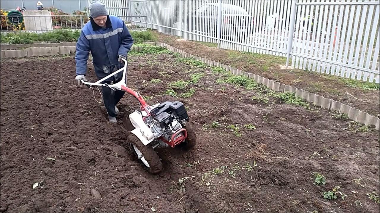 Пахать огород. Мотоблок агат вспашка плугом. Мотоблок пашет. Мотоблок пашка каскадом. Перепашка земли мотоблоком.