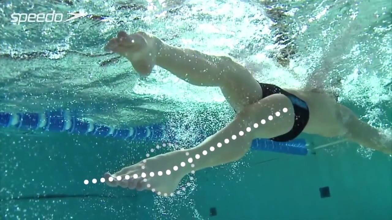 Teknik renang gaya Punggung (Backstroke) By Speedo