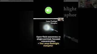Open-field awareness vs single-pointed, focused concentration: The Lamp-flashlight Metaphor