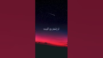 إِنَّكَ مَيِّتٌ وَإِنَّهُم مَيِّتُونَ | تلاوة خاشعة ماهر المعيقلي