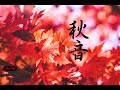 【Relaxing Music】Chill Out Music For Study,Work,Sleep - Piano & Guitar Instrumental Music