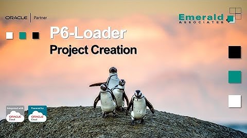 P6-Loader - P6 Project Creation