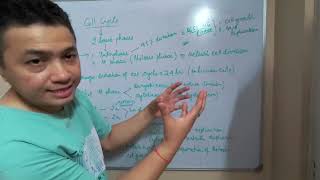 Cell Cycle | Chapter - 10 : Cell Cycle and Cell Division | NCERT Biology | Class XI