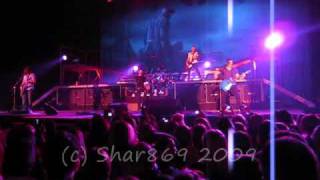Daughtry ~ Possum Kingdom