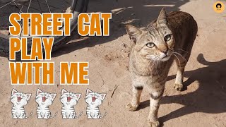 Street Cat play with me by Cats & Cats 16 views 1 year ago 1 minute, 8 seconds