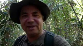 O que você precisa fazer para sobreviver  perdido  na selva amazônica!