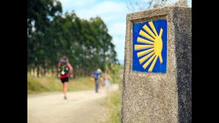 видео: Братство чёрного пилигрима или туда и обратно на автобусе. картинка: Братство чёрного пилигрима или туда и обратно на автобусе.