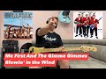 Me First And The Gimme Gimmes - Blowin' in the Wind (Bass Cover)