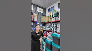 LƯỢN MỘT VÒNG QUANH DNTC #donghetuchon