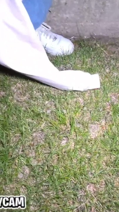 bro-really-got-peed-on-by-a-frog-fortnite-funny-frog-skibiditoilet