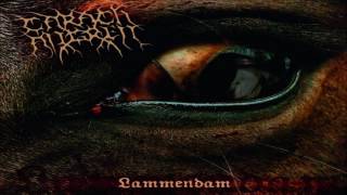 Carach Angren - Lammendam (Full Album)