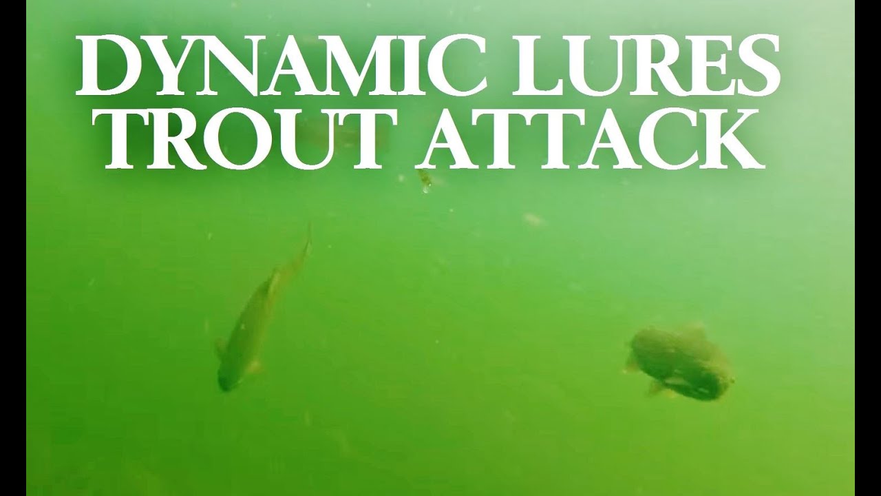 Amazing Trout Underwater Attack Dynamic Lures 