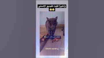 #دويتو #اذكار_الصباح #اذكار #ترند #ترند #تيك_توك #اذكارالصباح