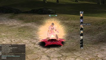 Lineage 2 - Hero Skills [Interlude]