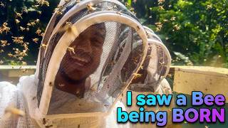 Inside Sangre Grande's SECRET Bee Farm (With a Local Master Beekeeper)