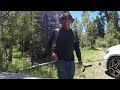 Pretty lahontan cutthroat in taylor creek lake tahoe area