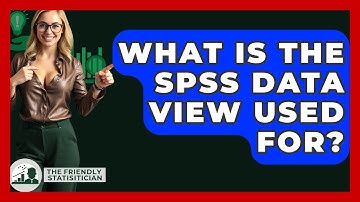What Is The SPSS Data View Used For? - The Friendly Statistician