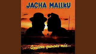 Video thumbnail of "Jach'a Malku - Quisiera Quererte Más"