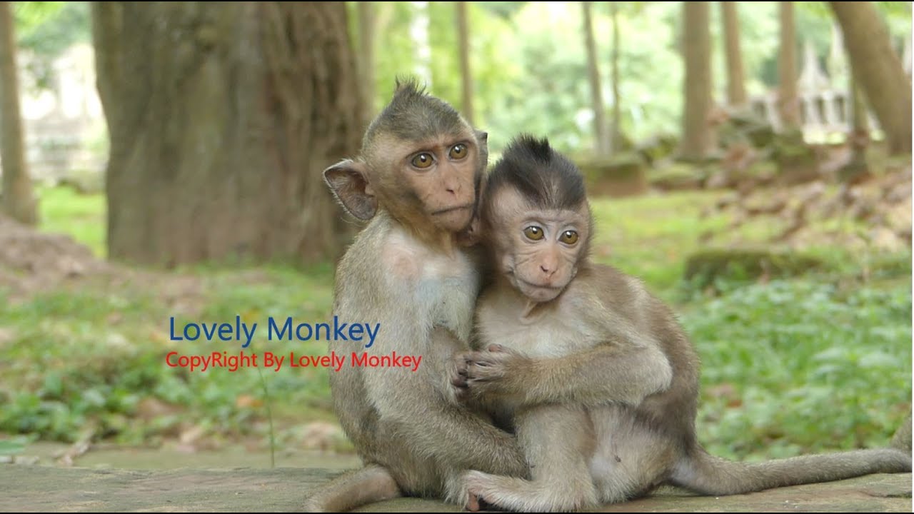 So Pity Poor Little Dustin Look So Sad Need Mom Take Care Same Other Family. Dustin Hug Baby Quinton