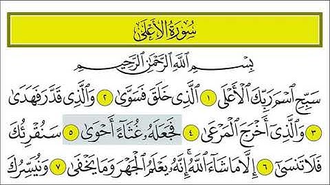 سورة الأعلى 4-6