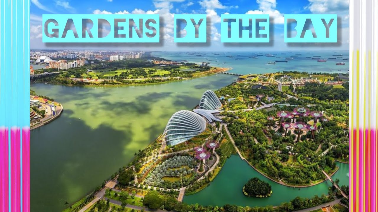 Природный парк в Сингапуре 🇸🇬 Nature Park in Singapore 