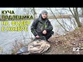 КУЧА ПОДЛЕЩИКА НА ФИДЕР В НОЯБРЕ! КЛЮЮТ НА КАЖДОМ ЗАБРОСЕ! ПОПАЛ НА ЯМУ!