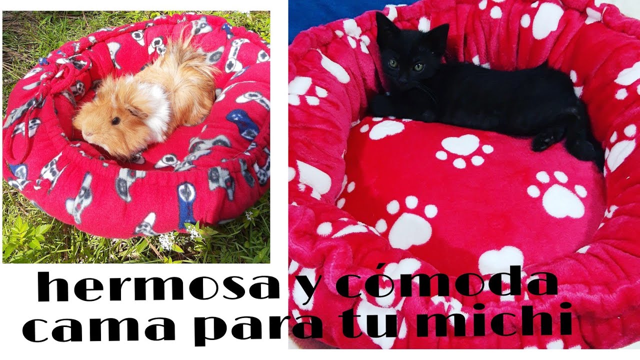 escapar montar Penélope 57 CAMA/NIDO para tu mascota fácil y cómoda!! - YouTube