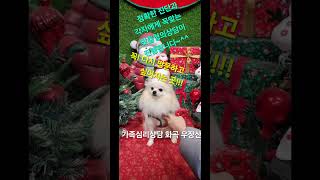 강서구 가족심리상담 찐!찐!방문자리뷰!!~^^♡가족심리상담 우장산 화곡♡