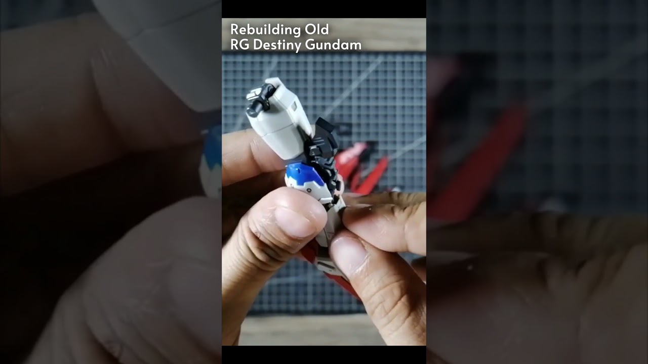 RG 1/144 Destiny Gundam (Re:Build) 