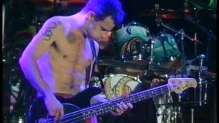 View Red Hot Chili Peppers - Live Performance of Warped at Reading Festival