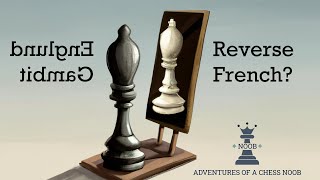 Englund Gambit  Rooks vs Queen! – Adventures of a Chess Noob