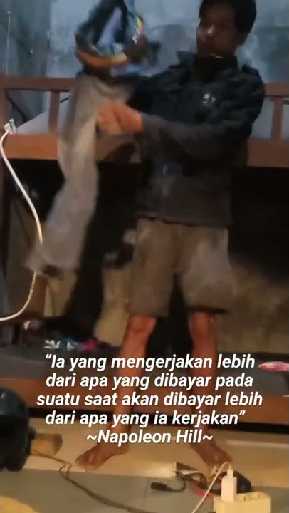 story wa | pejuang fcr ayam broiler