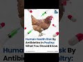 what is the reality of broiler chickens?