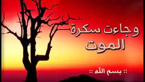 تلاوة ياسر الدوسري #الخشوع #funny #fyp