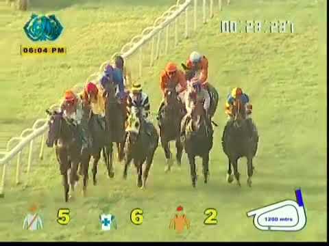 So Splendid with P Trevor up wins The Costa Del Sol Plate Div 2 2020 So Splendid with P Trevor up wins The Costa Del Sol Plate Div 2 2020