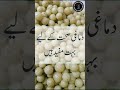 Benefits Of Gooseberry Amla Kay Faida Health Benefits Of Amla In Urdu Benefits Of Gooseberry Amla Kay Faida Health Benefits Of Amla In Urdu
