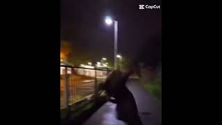 Frro chuis mort #fypシ #tiktok #scream #french #flop