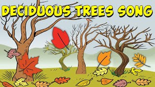 Deciduous Trees Song