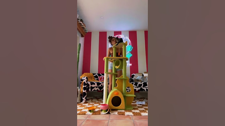 Top 6 Cat Trees You Must Have, Which Is Your Fav? | Happy&Polly