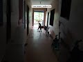 #3WheelScooter#ScooterRide#ScooterFun#KidsScooter#ScooterVibes#RideInStyle#biggbosstamil #rain