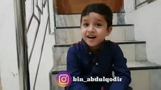 Sayyid Muhammad Hadi Cucu Habib Syech