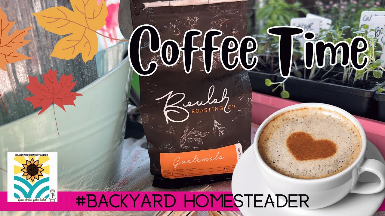 Beulah Coffee My first Cup | 